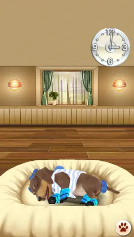 Game screenshot My Dog My Room hack