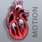 The motion anatomy of the human open heart, sectioned, and at the same time, appreciate its real heart rate and cardiac cycle, makes this application fulfill your expectations, and your needs