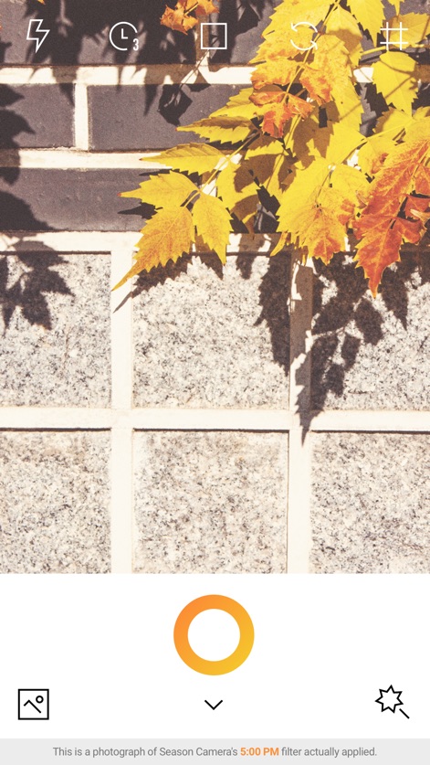 AUTUMN - Season Camera - autumn-season-camera-interface