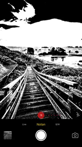Game screenshot Notan Live! apk