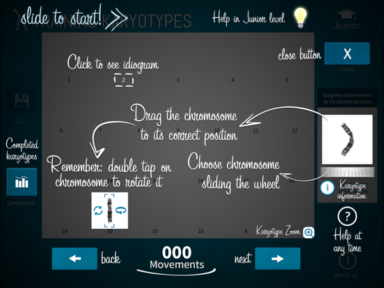 Screenshot #6 pour Training Karyotypes