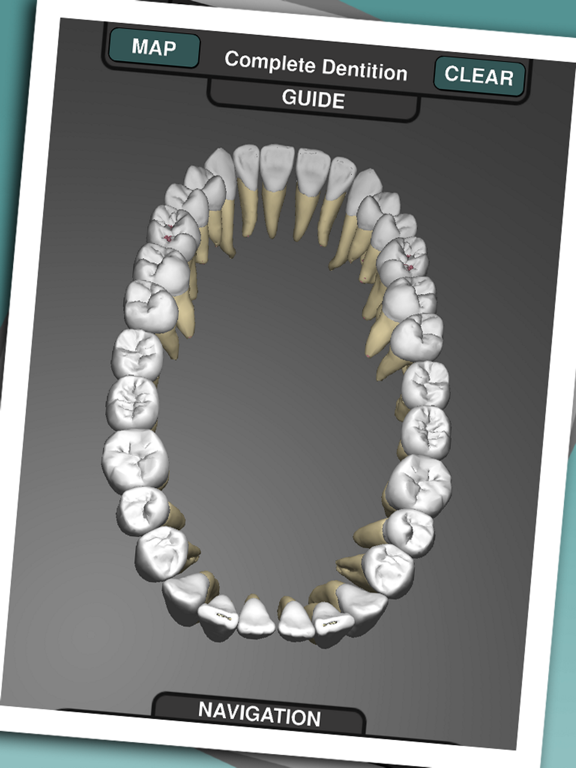 Real Tooth Morphologyのおすすめ画像1