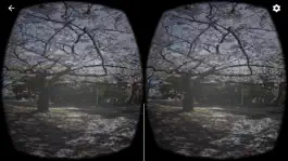 Game screenshot お花見さくらVR apk