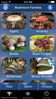 mushroom id north america problems & solutions and troubleshooting guide - 1