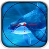 Blue Whale Hunting 3D