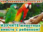 Животные для детей! lite айпад изображения 3