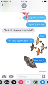 Texas Birds Sticker Pack screenshot
