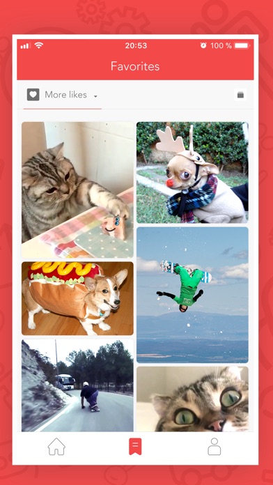 GIF Surfer- Find the Best GIFs screenshot 4