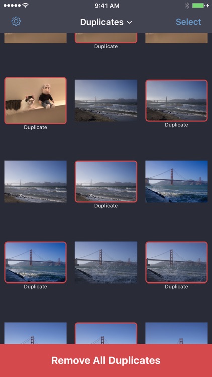 The Best Photo App screenshot-0