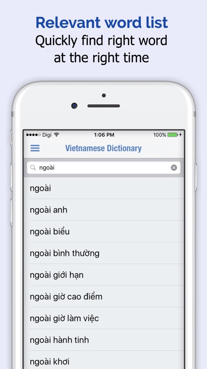 Vietnamese Dictionary +