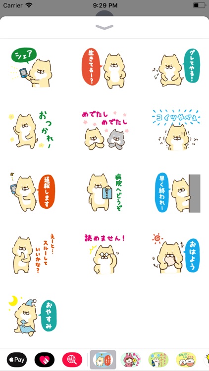 芝犬くん、毎日使える
