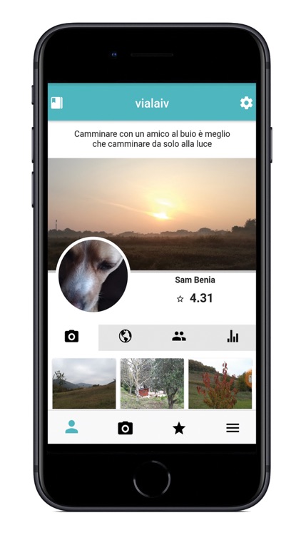 Vialaiv screenshot-4