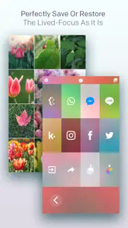 live focus iphone screenshot 4