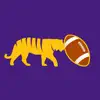 Radio for LSU Football App Negative Reviews