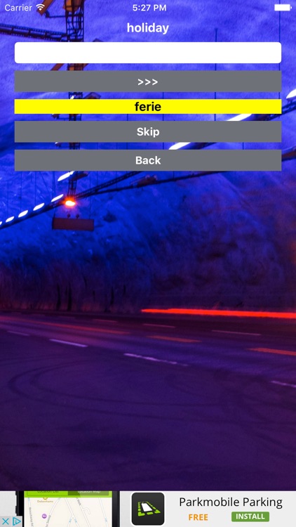 Norwegian Vocab Helper Lite screenshot-4
