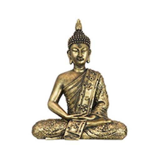 Buddha Thai (Purmerend) icon