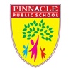 Pinnacle School Gandhinagar