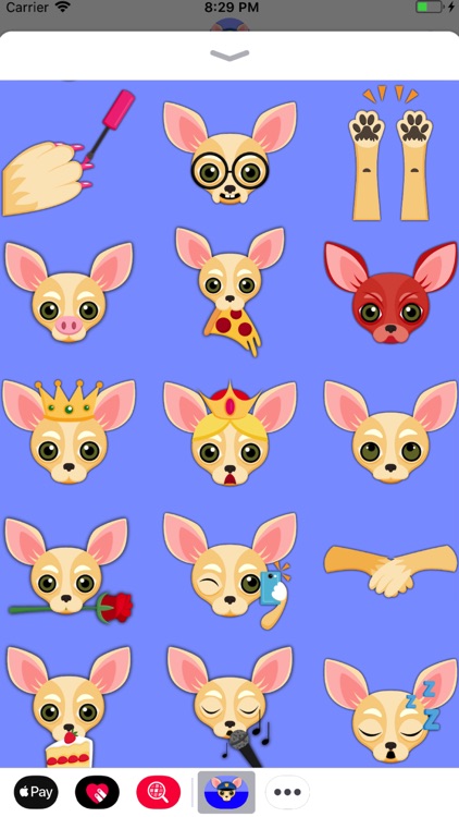 Cream Chihuahua screenshot-3