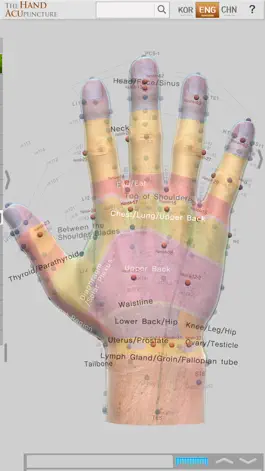 Game screenshot Hand Acupuncture apk