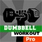 Dumbbell workout - your best dumbbell trainer