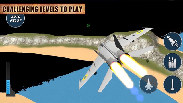Real Jet Flying Pilot(圖2)-速報App