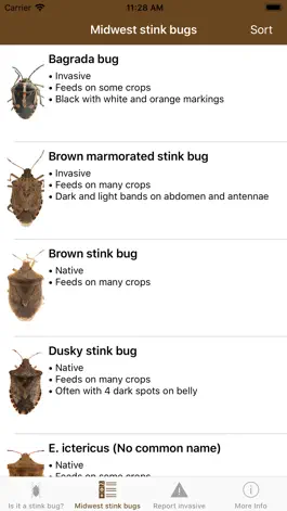 Game screenshot Midwest Stink Bug apk