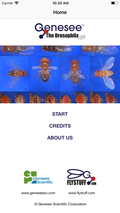 How to cancel & delete Drosophila from iphone & ipad 3