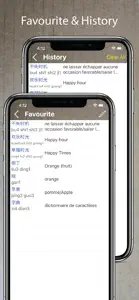 Chinese French Dictionary 法中词典 screenshot #4 for iPhone