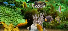 Game screenshot MyReef 3D Aquarium 2 Lite apk