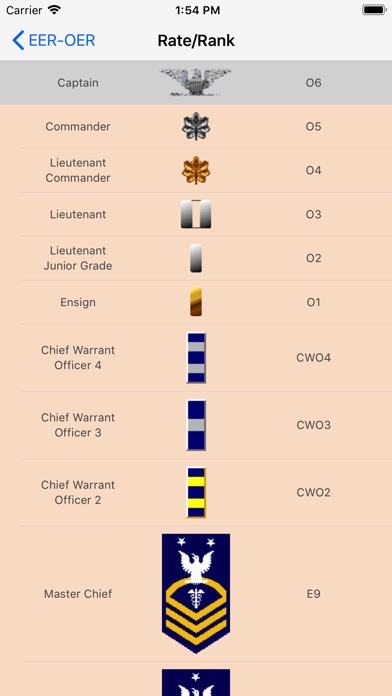 USCG EER-OER (ALL NEW FORMS) screenshot 2