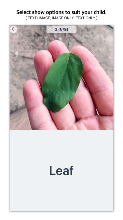 Daddy's Word Cards screenshot-3