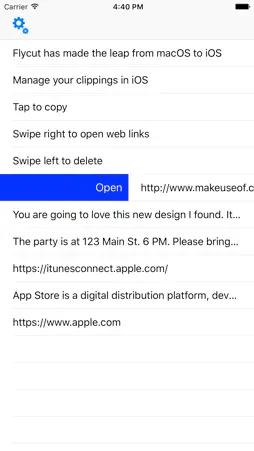 Flycut screenshot 3