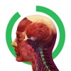 Arloon Anatomy icon