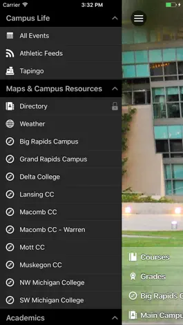 Game screenshot Ferris GO apk