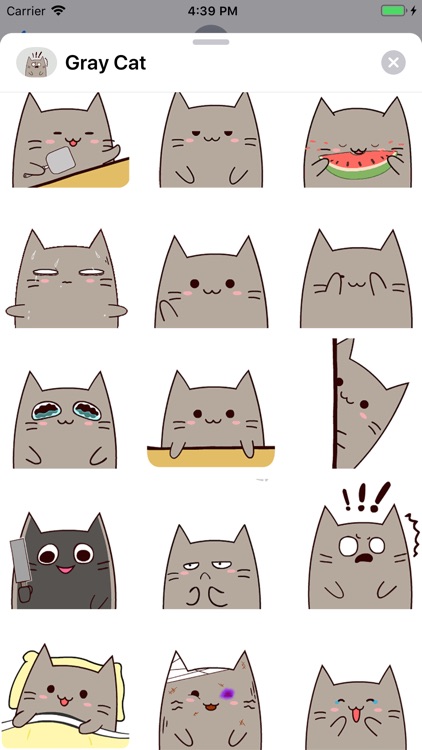 Gray Cat Animated Stickers