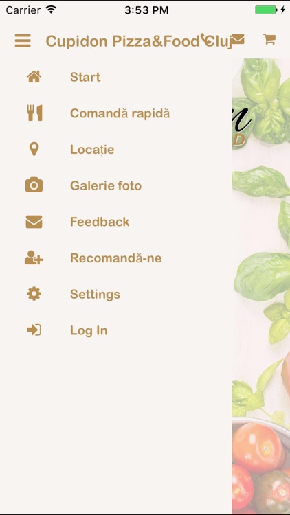 Cupidon Pizza & Food Cluj