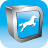 Equine Joint Injections - Veterinary Advances Ltd