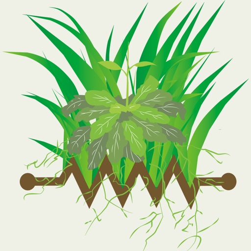 Savvy Resistance Manager (H)