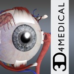 Download Essential Eye app