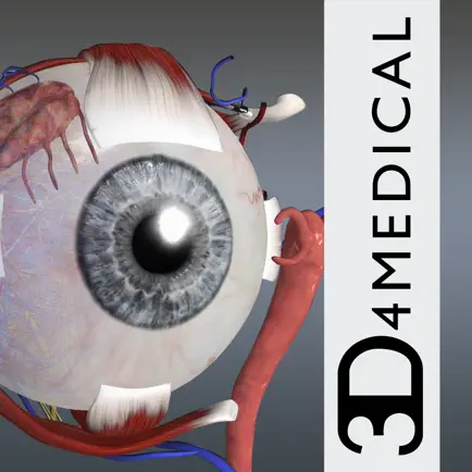 Essential Eye Читы