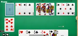 Game screenshot Rummy - classic card game apk