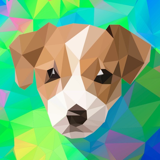 Colora - Coloring Book Puzzle Icon