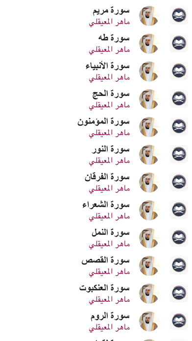 القران ماهر المعيقلي بدون نت Screenshot