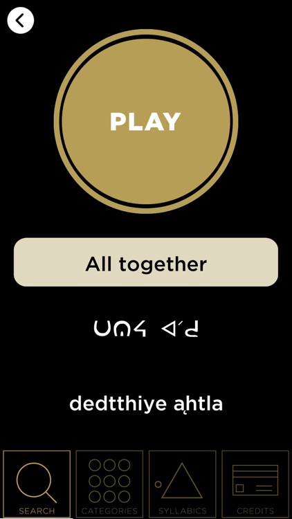 Saysi Dene Dictionary