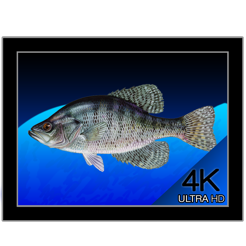 aquarium 4k live wallpaper on the mac app store