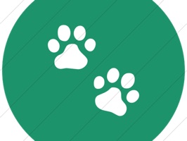 Animals Sticker