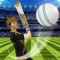 Bored playing single player version of the Cricket