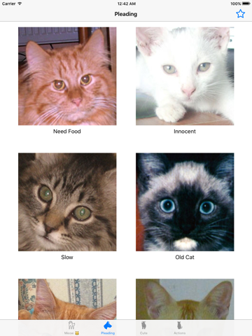 Screenshot #6 pour Son de chat- amoureux de chat