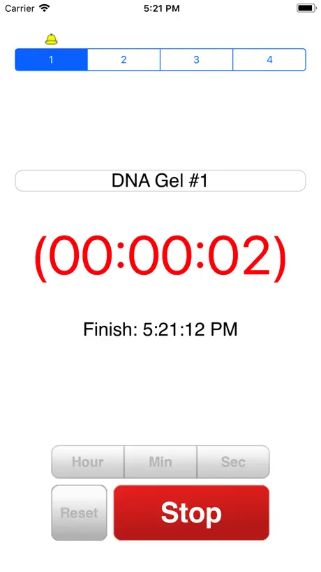 LabTimer