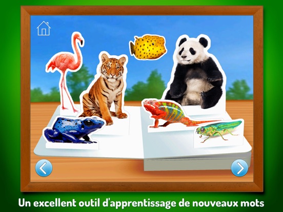 Screenshot #5 pour Les animaux du zoo  ~  Touche, regarde, écoute